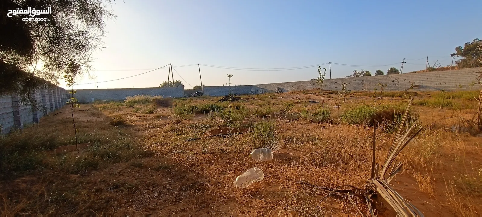 أرض 2000م للبيع في غوط الرمان