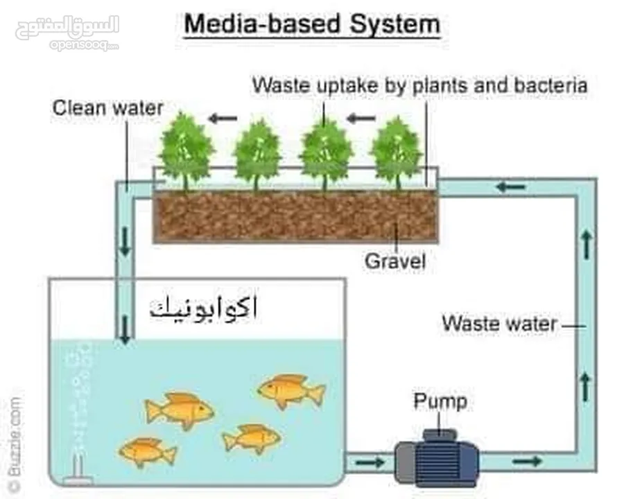 حوض سمك فايبر جلاس