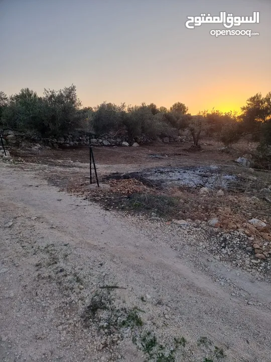 ارض نصف دونم مسطحه  طابو كدوم موقع ممتاز للبناء وتصلها جميع الخدمات