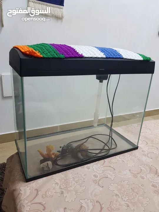 Fish aquarium