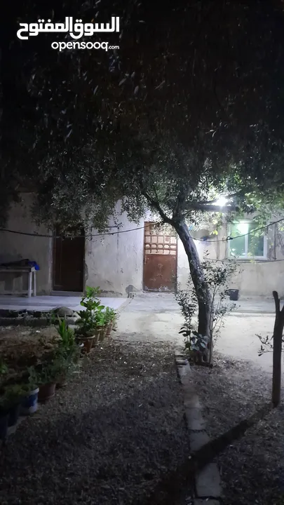 بيت مكون من غرفتين + صاله خارجيه+ صاله داخليه +مطبخ +حمام