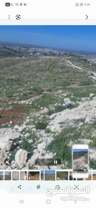 قطعة ارض مميزه للبيع الخليل دورا خلة العقد مساحة الارض 590 متر