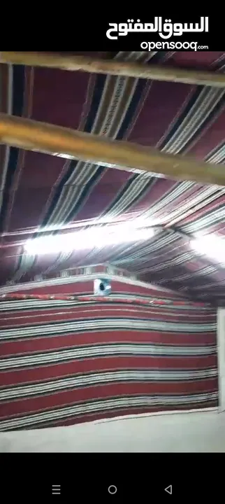 خيمه كتان سعودي نظام خليجي