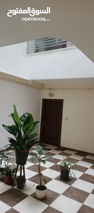 بسعر لقطه مع فرصه استثماريه  شقة ارضيه مع صالون ستاتي (ربوة عبدون )