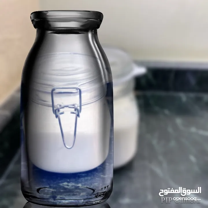 للبيع فطر هندي ( كفير )Kefir for sale