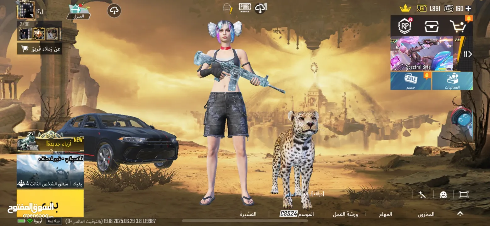 حساب ببجي للبيع بسعر حرق