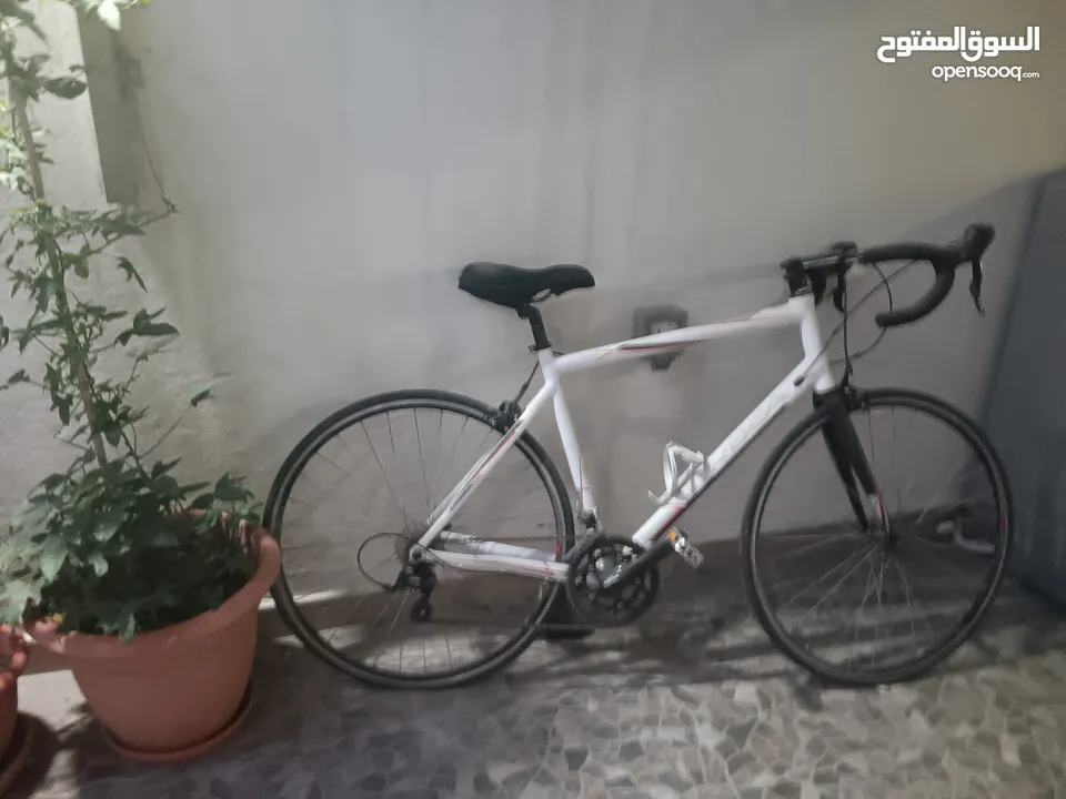 Orbea road bicycle made in Spain