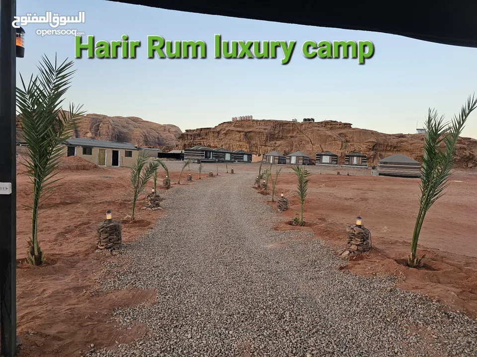 مخيم سياحي في وادي رم luxury camp