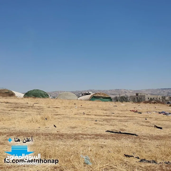 قطعة أرض مفروزة سكنية مميزة للبيع في منطقة أم الدنانير  من أراضي شمال عمان من المالك مباشرة
