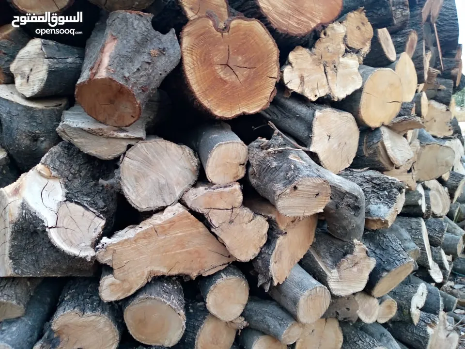 حطب زيتون ولوز وحمضيات ناشف مقطع حسب الطلب
