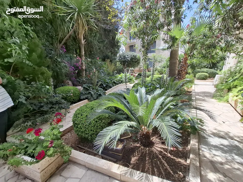 شقة غير مفروشة للإيجار  ( Property 43170 )-174836195