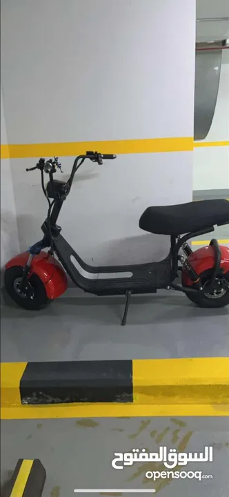 Electric Fat Tire Scooter MT2003