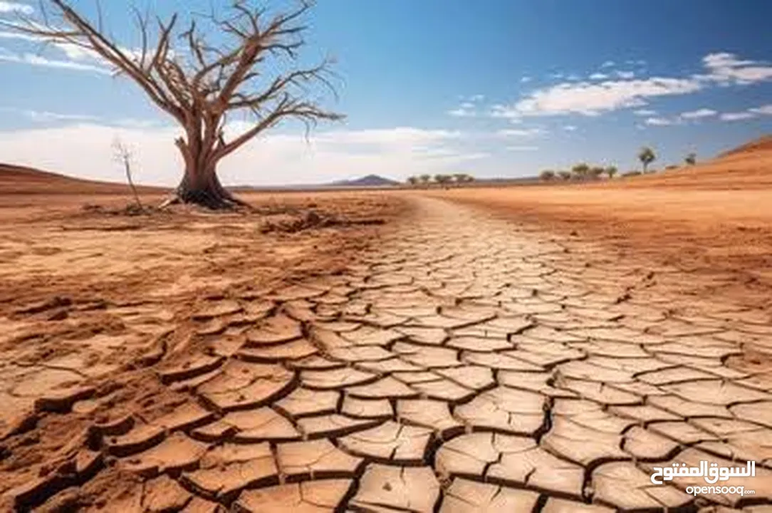 ابو يوسف سلامة