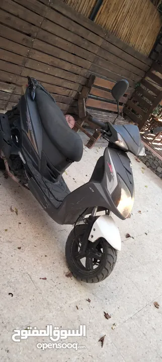 فسبا jet4 رام الله