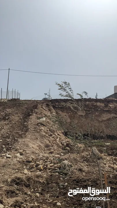 ارض مميزة محفورة بسعر مناسب