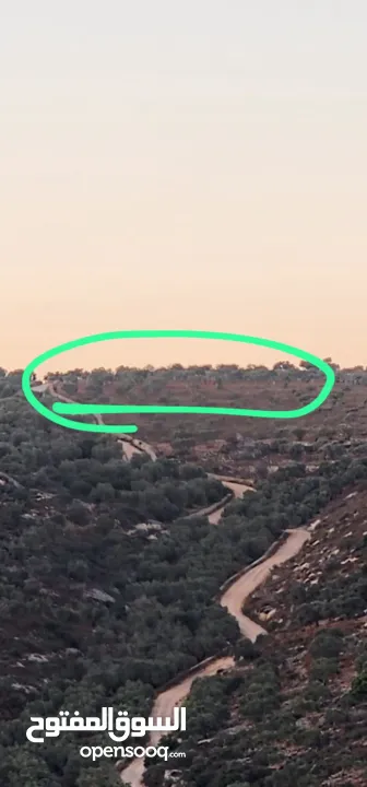 ارض للبيع بسعر مغري في ياصيد