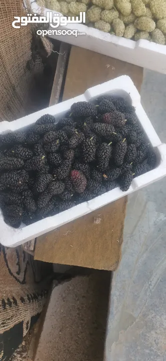 يرجد توت ابيض اسود تركي