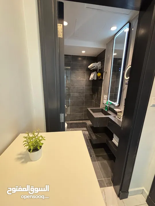 Luxury One-Bedroom Apartment For Rent ( Property 42272 )-174510811