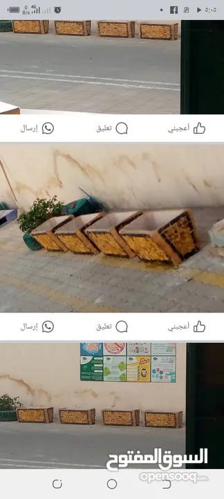نوافير قوار زريعه سيراميك وحجر