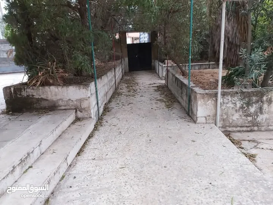 عمارة 4 طوابق للبيع في حي نزال على دونم ارض تحتوي 8 شقق وروف من المالك