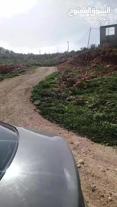 منطة تل الهوا فوق المساكن الشعبيه