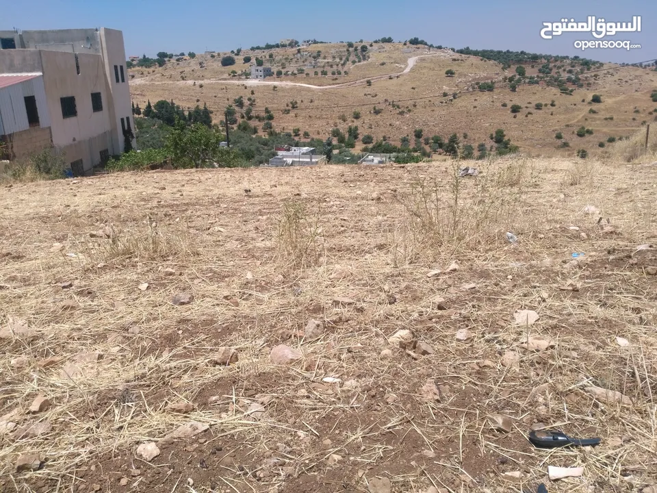 ارض للبيع في عجلون (صخرة)