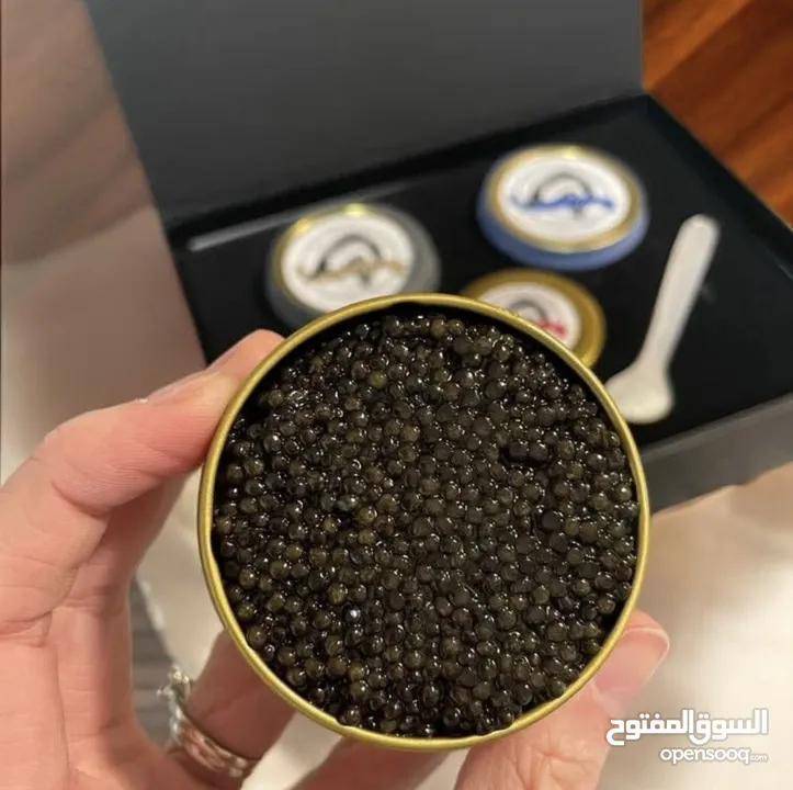 Caviar iranian high quality