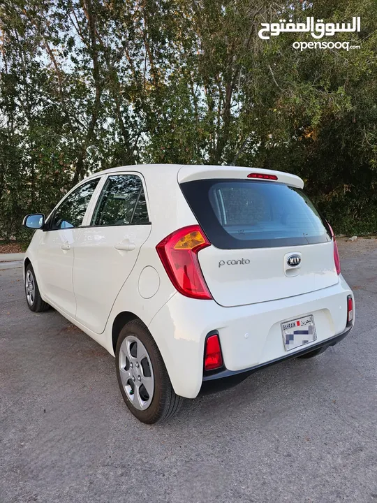 # KIA PICANTO ( YEAR-2017) WHITE COLOR HATCHBACK CAR FOR SALE