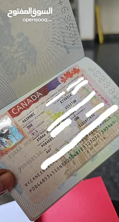 فيزا الى الإتحاد الاوروبي وكندا أستراليا و بريطانيا باسرع وقت تأمين جميع الاراق ما عليك
