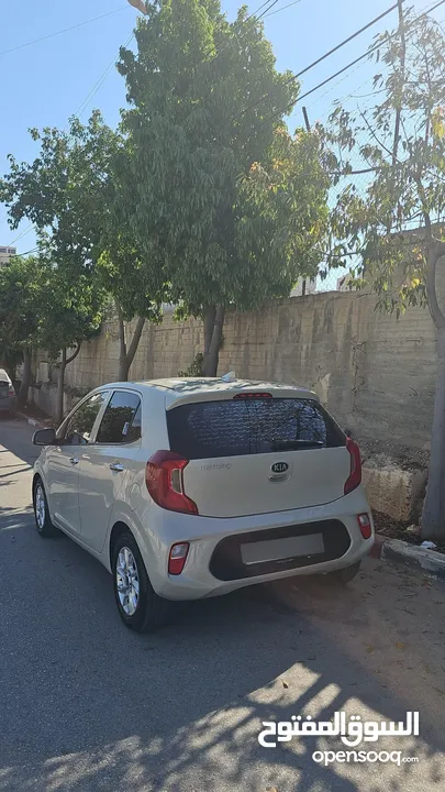 كيا بيكانتو 2019