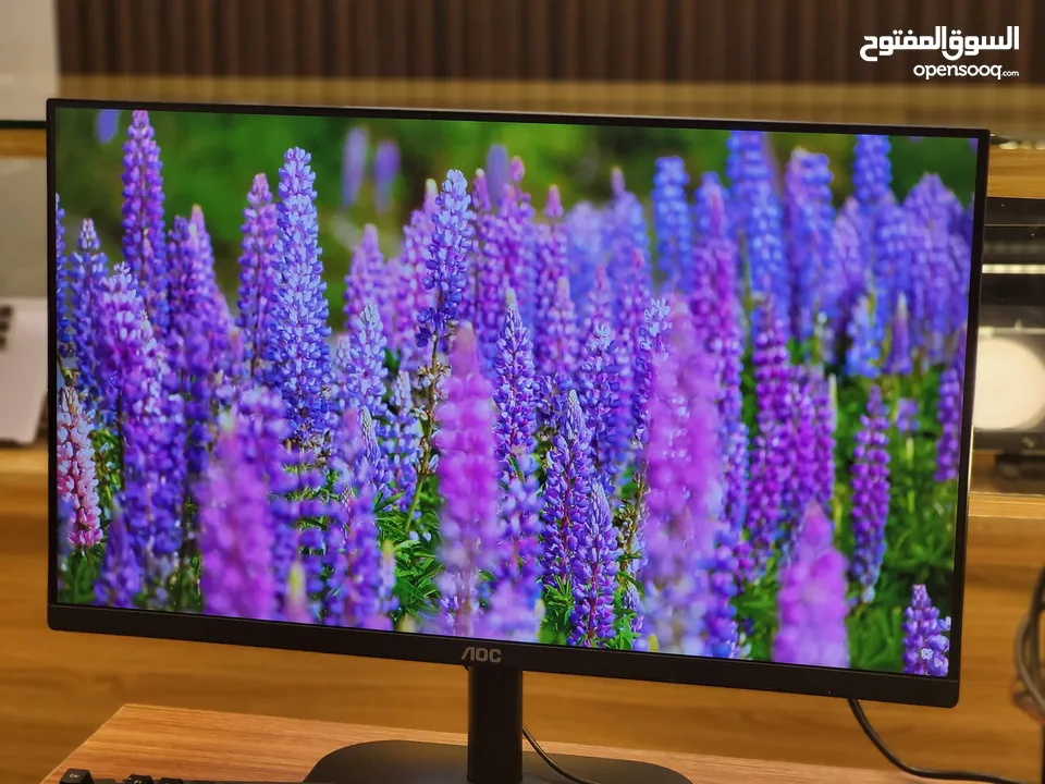 24'' INC Gaming Monitor FHD IPS Display Refresh Rate: 100 Hz , 4ms