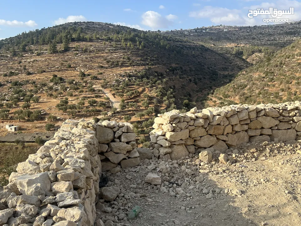 عجول قطعة ارض مساحتها 811 متر كوشان طابو مستقل سلطة أ تنازل فوري