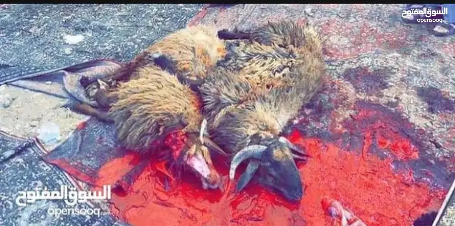 لحام متنقل