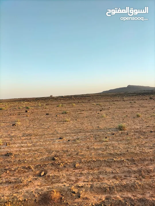 ارض للبيع بسعر ممتاز