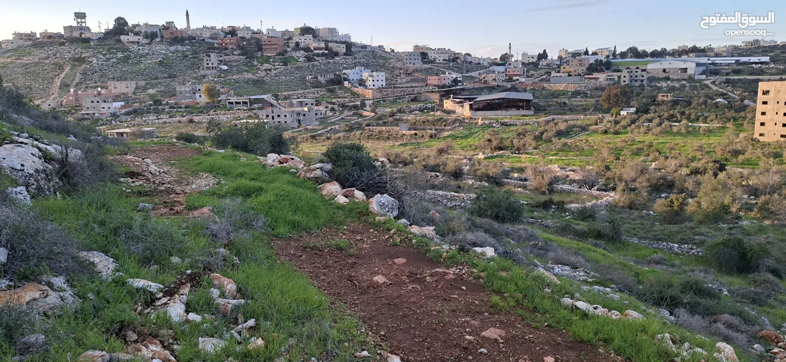 800متر طابوا فلسطيني في اجمل موقع بالكفريات واطلالة مميزةمنطقة( b)صالحة للبناء
