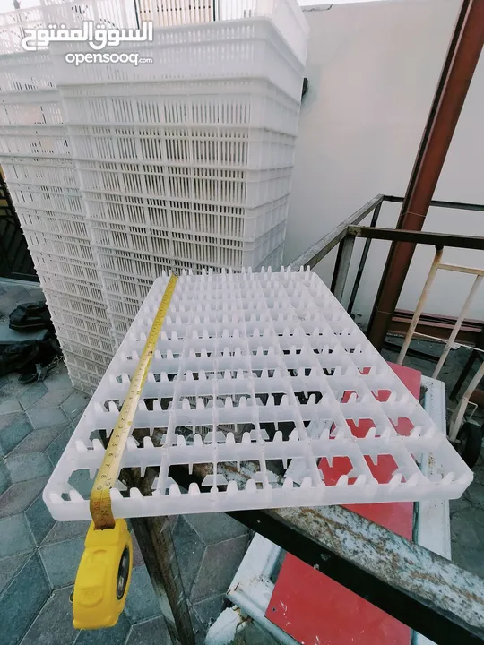 incubator for sale 10000 eggs ٱلة تفقيس البيض للبيع