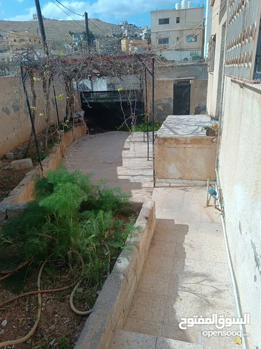 منزل مستقل مكون من طابق ارضي وتسوية وساحات خارجية ومخزن في الزرقاء - ابو الزيغان