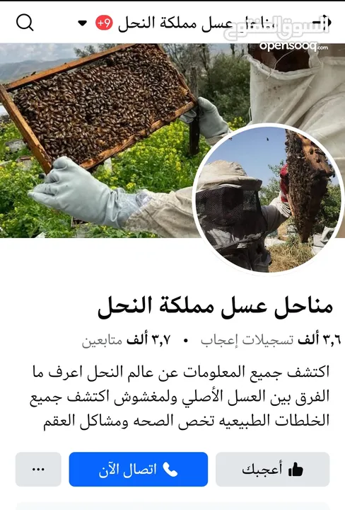 موسم 2025 سعر خاص للتجار و للكميات من عسل وشمع علب وبراويز كامله من مناحل عسل مملكة النحل