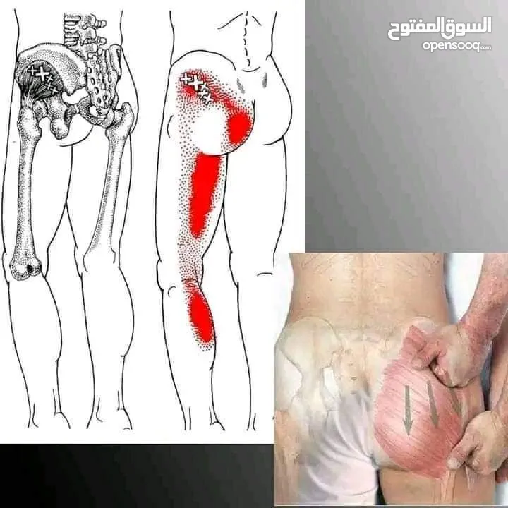 مدرب لياقه بدنيه وبناء أجسام ومدرب سباحه