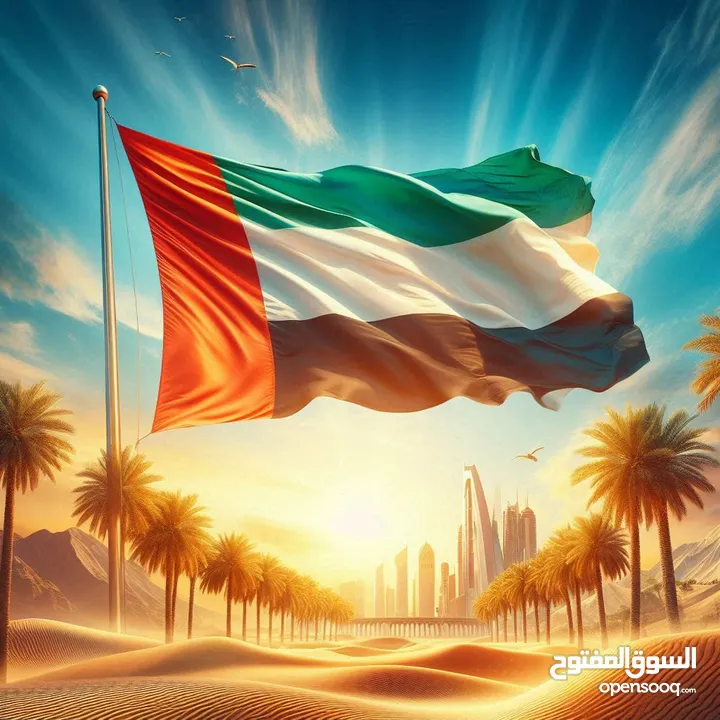 كويك لاين للخطوط العربية والاوربية خدمة سريعة وآمنة