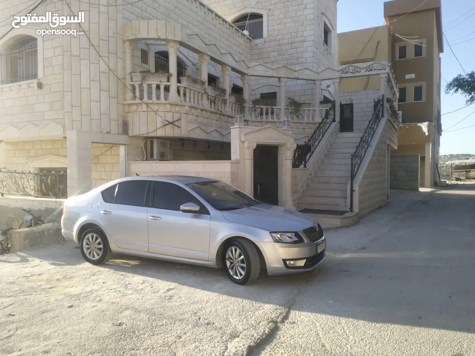 علي ابو بكر