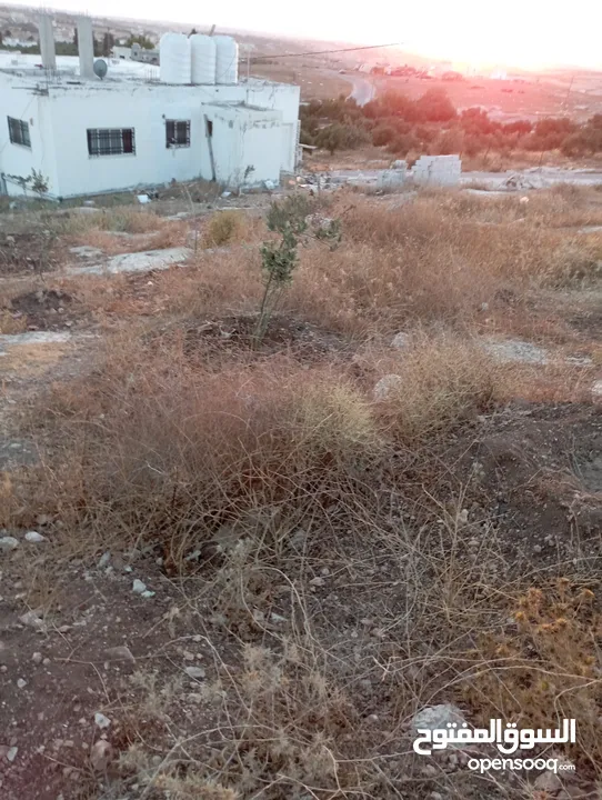 قطعة ارض للبيع بسعر مغري في منطقه بيت رأس حوض المداحل