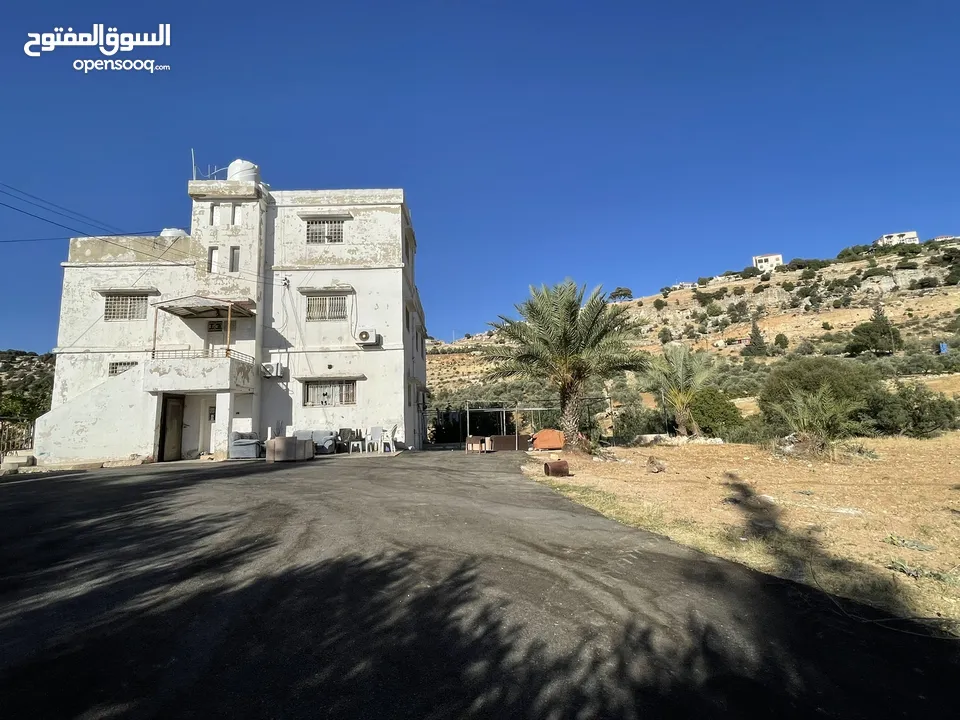 ارض للبيع السلط بسعر مغري جدا