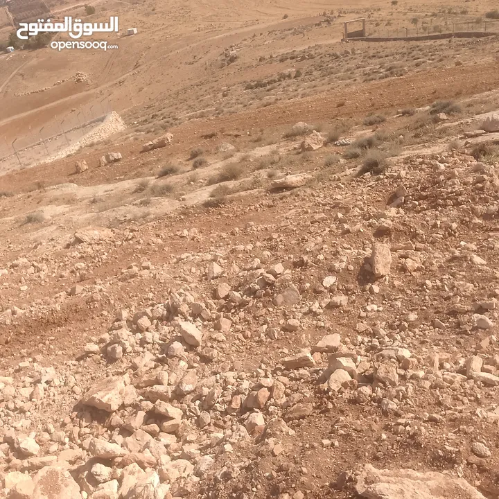 قطعة ارض شرق جرش مرويه من بئر ارتوازي مطله ومرتفعه بسعر مغري متوفر أكثر من 50 قطعه في نفس المنطقه