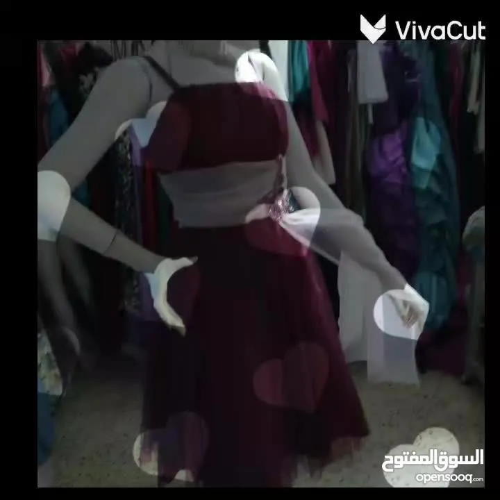 بيع بدل خطبه وعرايس وسواري
