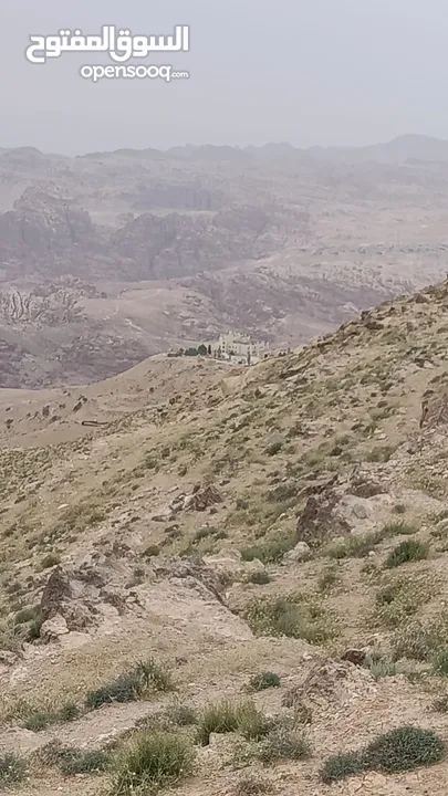 وادي موسى 22 دنم مطلة على جبال البتراء تصلح لعمل اكثر من مشروع