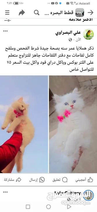 هملايا اورنج