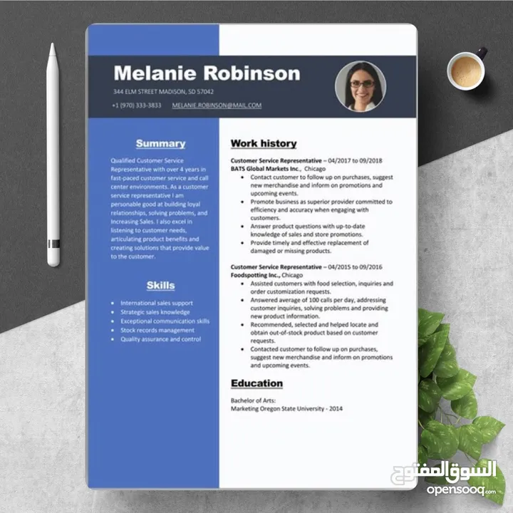 افضل تصاميم سيرة ذاتيه بسلطنة عمان تظهر خبراتك ومهاراتك بشكل احترافي مميز Cv Design اقرأ الوصف