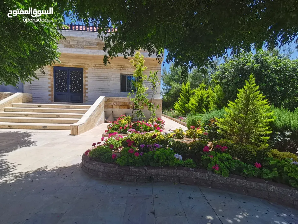مزرعة للايجار عمان شارع الاردن