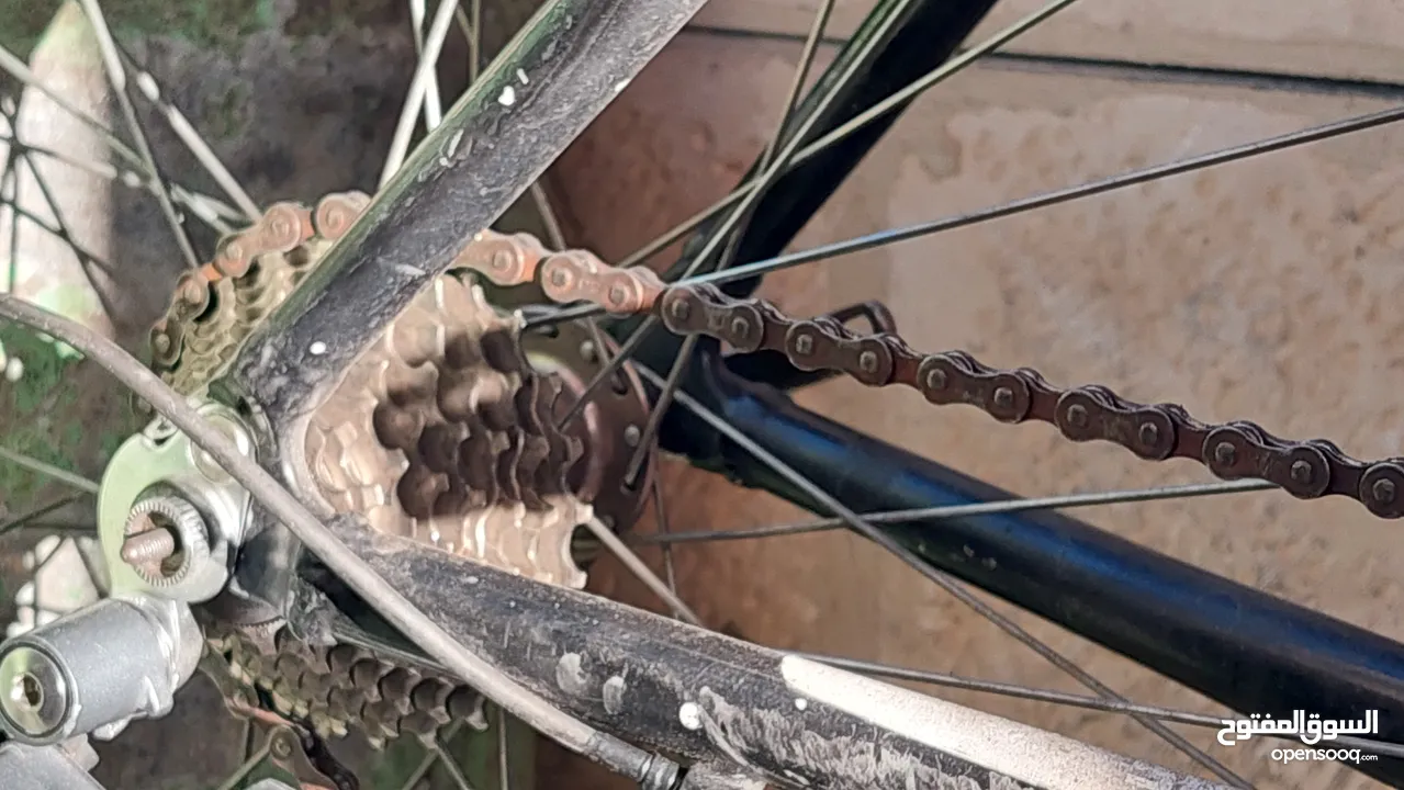بسكلتي دراجة هوائية trinity plus uno bikes  سباق او طرق قطع نوع كلارس 2400 ياباني اصلي